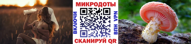 Псилоцибиновые грибы Psilocybe  Купить закладки  Рудня 